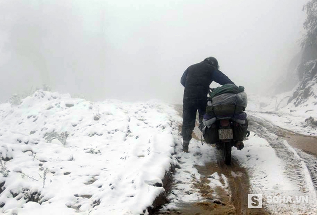 Nhiều huyện miền núi ở Nghệ An bị tuyết phủ trắng xóa trong đợt rét kỷ lục vừa qua.