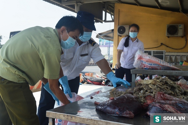 Lực lượng chức năng kiểm tra lô hàng trên.