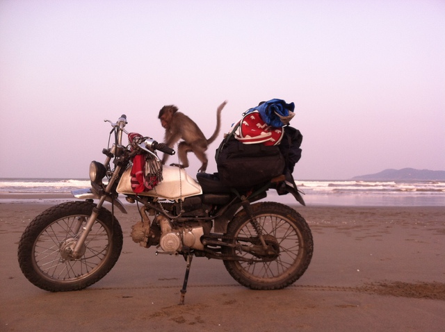 
Chú khỉ này chính là lý do khiến Quốc Toản quyết định về quê ăn Tết bằng xe máy.
