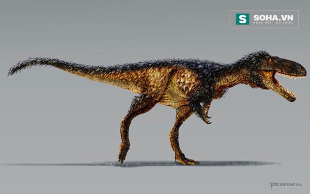 
Tổ tiên của T-rex - Khủng long Timurlengia?
