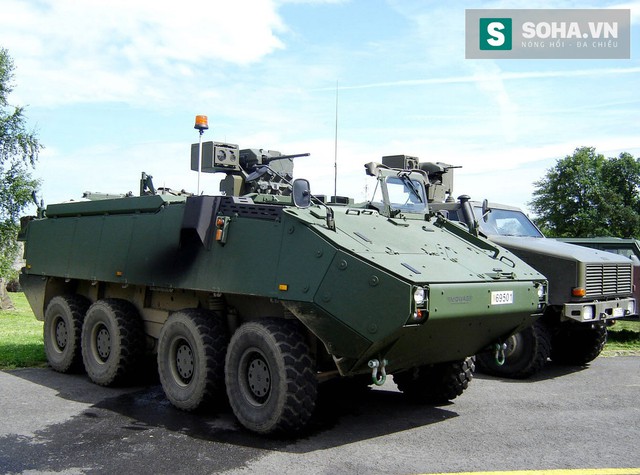 
Xe thiết giáp chở quân Piranha IIIC
