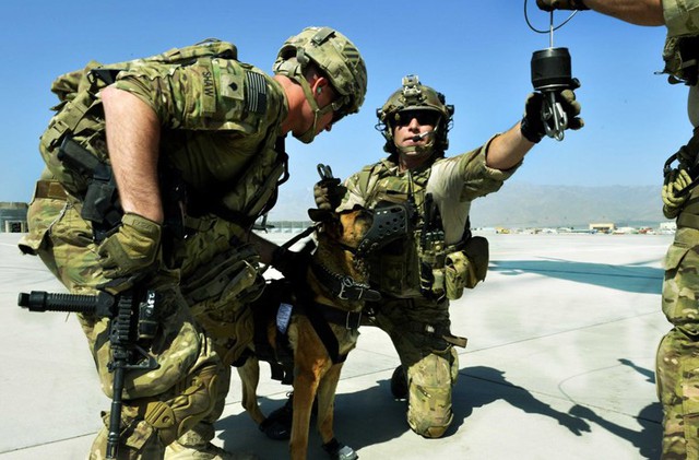 
Nhờ sự tinh khôn chó vẫn được sử dụng trong hầu hết quân đội các nước
