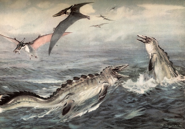 
Tylosaurus.
