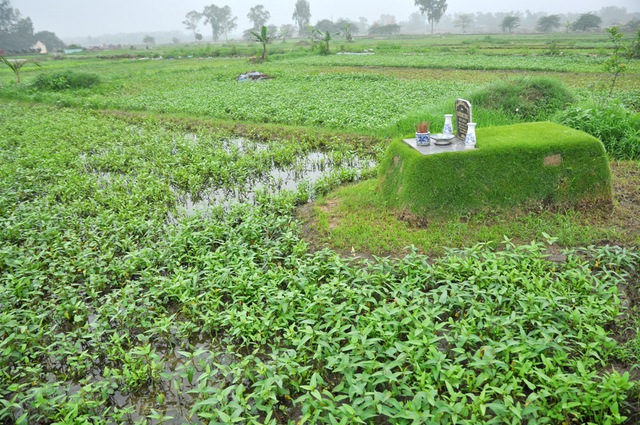 Rau muống vây quanh, một nấm mộ tại khu nghĩa trang của xã, .