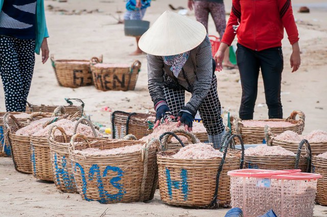 
Những phụ nữ làng biển đang chế biến ruốc vừa đánh bắt
