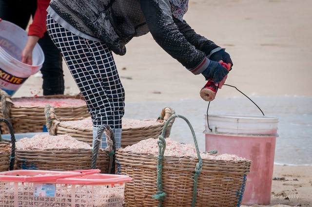 Chưa xác định loại hóa chất màu đỏ này có bị cấm hay gây độc hại cho con người hay không