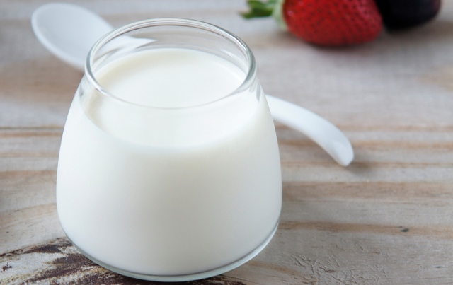 Sữa chua rất tốt cho hệ tiêu hóa và hệ miễn dịch.