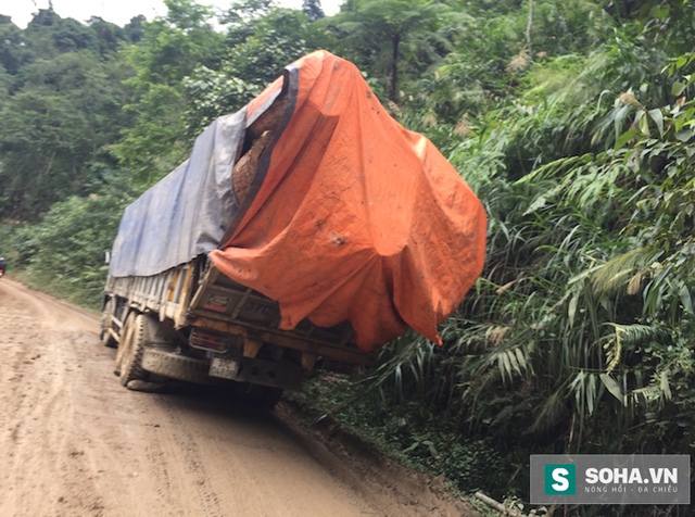 
Mặc dù nền của tuyến đường này rất yếu, trọng tải cho phép thấp từ 10 đến 13 tấn, nhưng mỗi ngày đường phải chịu tải cho cả chục xe “siêu trường siêu trọng” vận chuyển gỗ từ Lào về Việt Nam.
