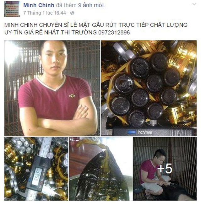 
Ngày 7/1 mới đây, Chinh đăng lên trang Facebook cá nhân của mình rao bán mật gấu được chính tay thanh niên này hút từ gấu.
