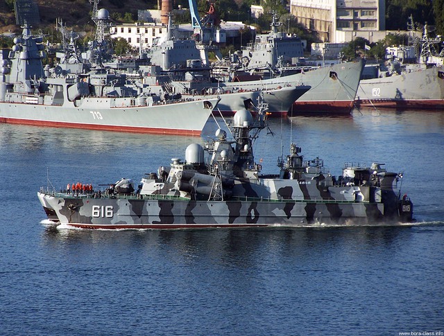 
Một số tàu chiến của Hạm đội Biển Đen (Nga).
