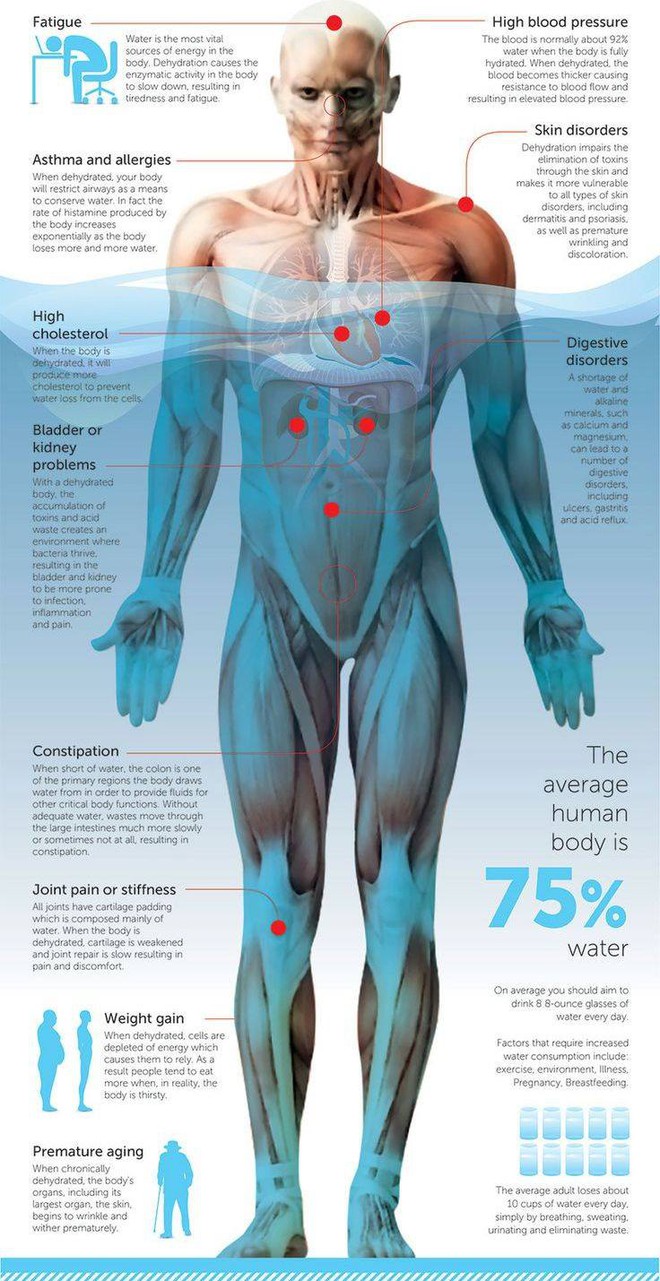 
Hơn 70 % cơ thể người là nước. Ảnh minh họa.

