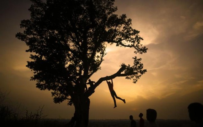 Trẻ em Palestine chơi trên cây lúc hoàng hôn tại trại tị nạn Jabalia ở Dải Gaza.