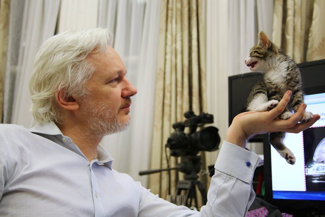 
Nhà sáng lập WikiLeaks, Julian Assange chơi đùa với một con mèo tại Đại sứ quán Ecuador ở London, Anh.
