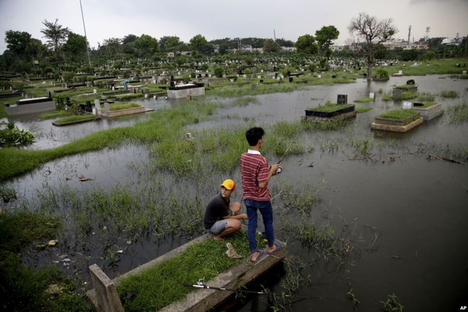 Hai nam thanh niên câu cá trong một nghĩa trang ngập nước sau mưa lớn tại thành phố Jakarta, Indonesia.