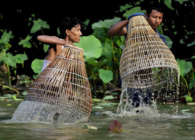 Người dân dùng nơm đánh cá dưới hồ tại ngôi làng Mayong ở bang Assam, Ấn Độ.