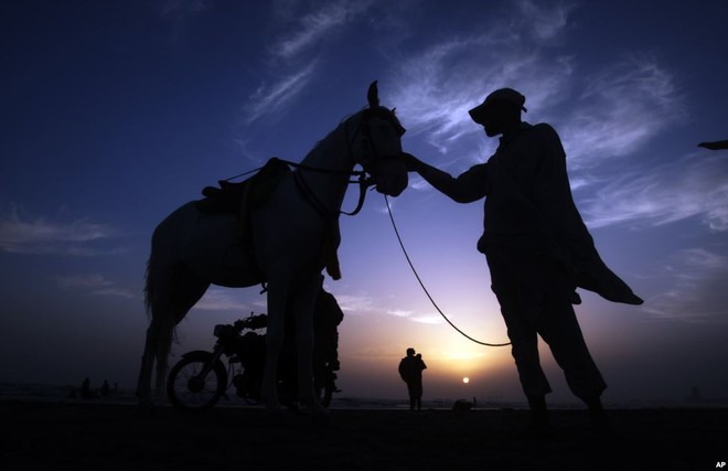 Người đàn ông đứng chờ khách hàng thuê cưỡi ngựa trên bãi biển Clifton ở thành phố Karachi, Pakistan.