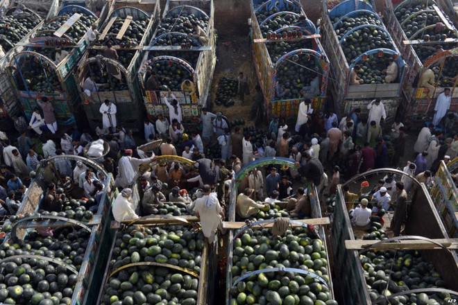 Nông dân chở dưa hấu tới bán tại một khu chợ nông sản ở thành phố Lahore, Pakistan.