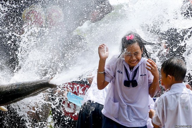 Voi phun nước vào các học sinh trong lễ hội té nước truyền thống Songkran ở thành phố Ayutthaya, Thái Lan.