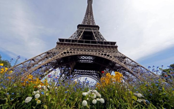 Hoa được đặt xung quanh chân tháp Eiffel tại thành phố Paris, Pháp.
