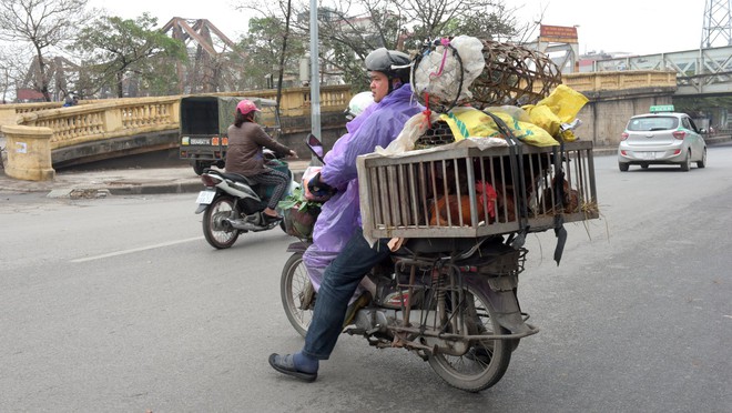 
Những chiếc xe máy thồ đủ thứ như này nhan nhản trên đường phố Hà Nội.

