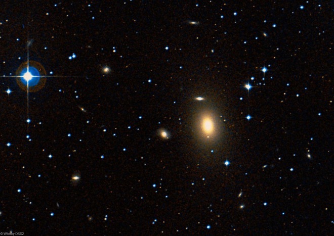 
Thiên hà NGC 1600.
