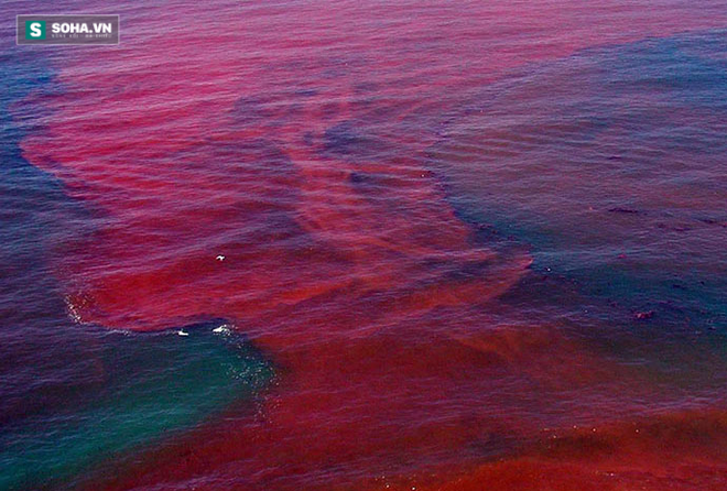 
Nước sông San Diego, California, Mỹ chuyển màu đỏ rực do tác động của hiện tượng thủy triều đỏ. Ảnh: Kai Schumann/OceanService.gov
