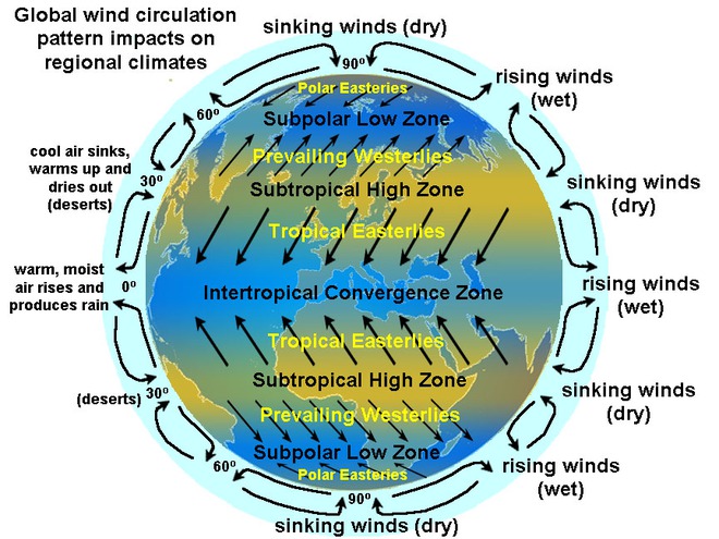 
Gió phân bố theo từng khu vực khí hậu.
