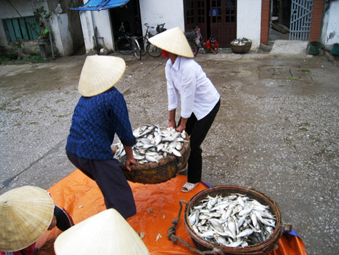 hang-nghin-nguoi-chay-sieu-bao-son-tinh