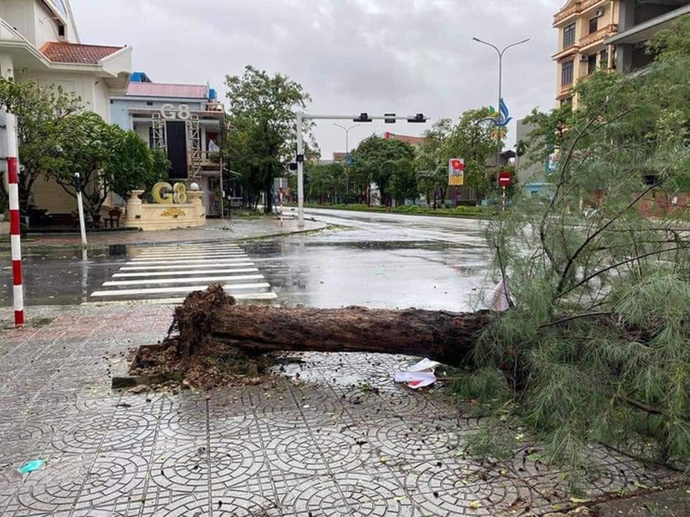Những thiệt hại ở Quảng Bình sau bão Vamco đi qua - Ảnh 2.