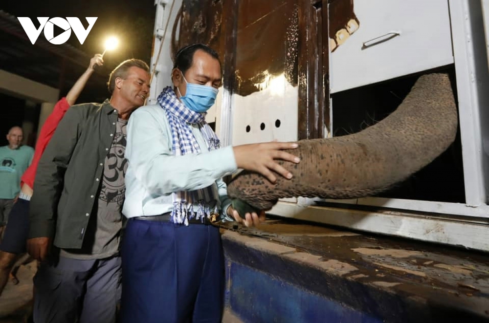 Chú voi cô đơn nhất thế giới đến nhà mới ở Campuchia với phí vận chuyển gần nửa triệu USD - Ảnh 5.