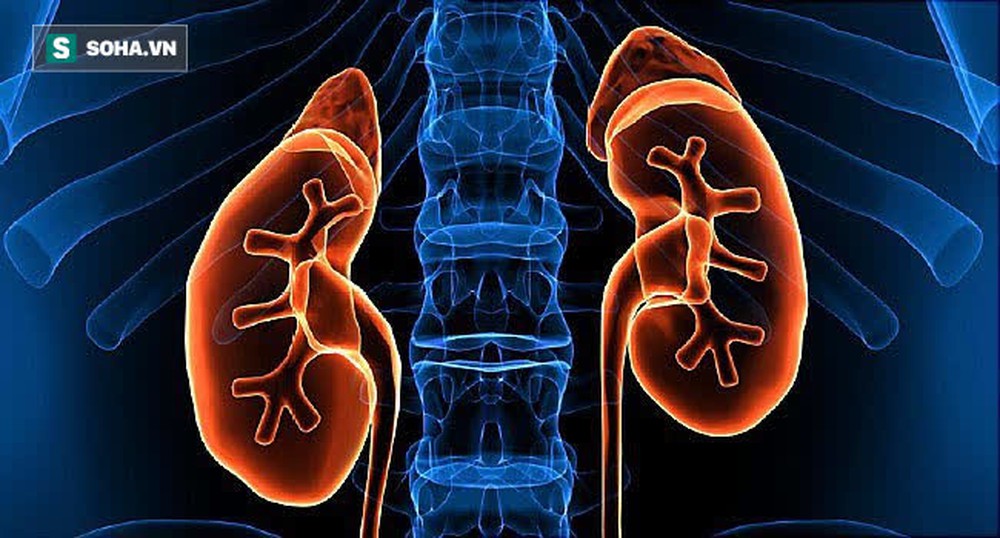 4 lưu ý khi uống nước để không làm thận của bạn gặp rắc rối: Người bệnh thận cần cảnh giác - Ảnh 1.