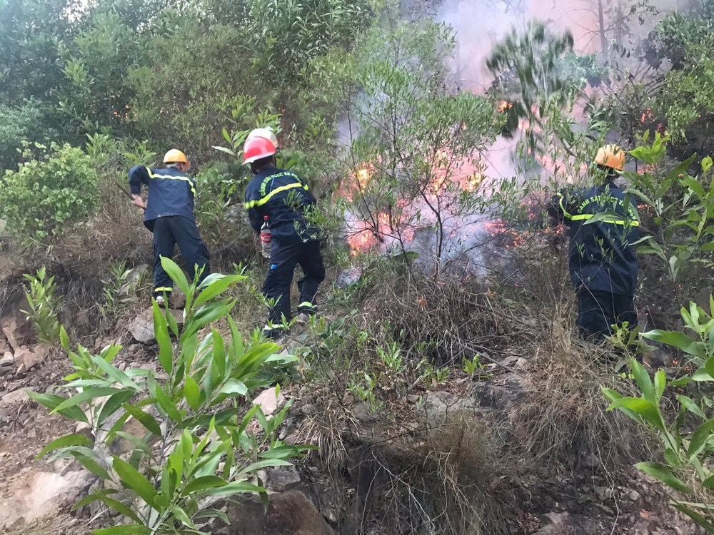 Dập tắt vụ cháy rừng thông kéo dài 2 ngày, lan qua nhiều xã ở Nghệ An - Ảnh 2.