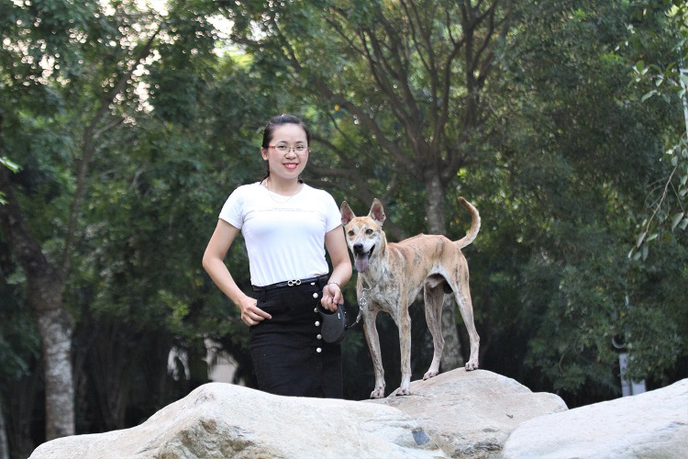 “Khuyển vương” 300 triệu và bí mật thương vụ chuyển nhượng chó Phú Quốc đắt nhất VN - Ảnh 1.