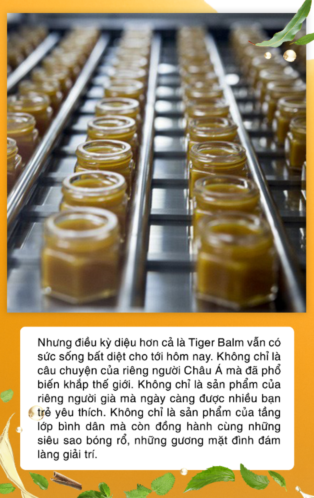 Câu chuyện thương hiệu Tiger Balm chu du khắp thế giới bắt đầu từ một tiệm thuốc nhỏ tại Ragoon - Ảnh 3.