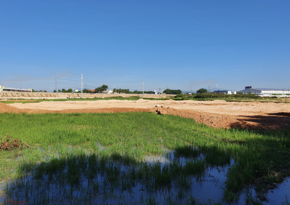 Đất Xanh Quảng Ngãi ngang nhiên dùng máy xúc lấp đất ruộng khi chưa được giao đất - Ảnh 2.