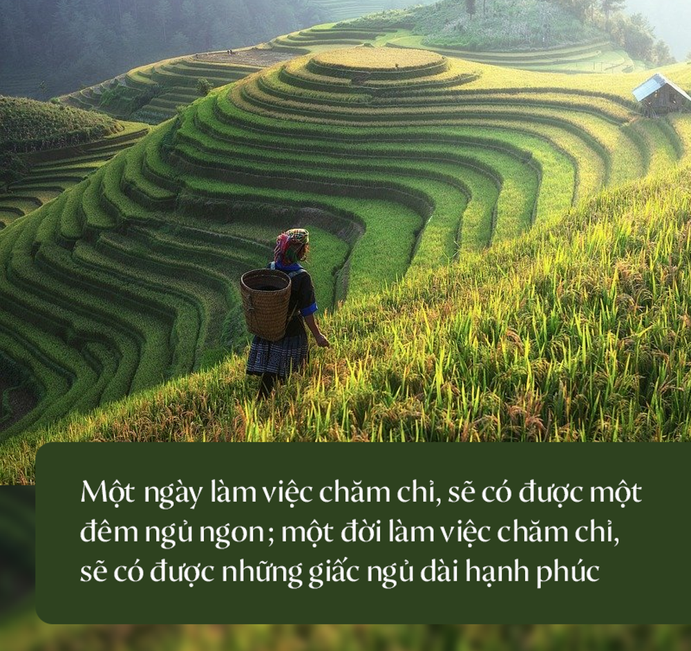 Người hay gặp may, hầu hết đều có chung đặc điểm này: Hãy xem bạn có hay không! - Ảnh 4.