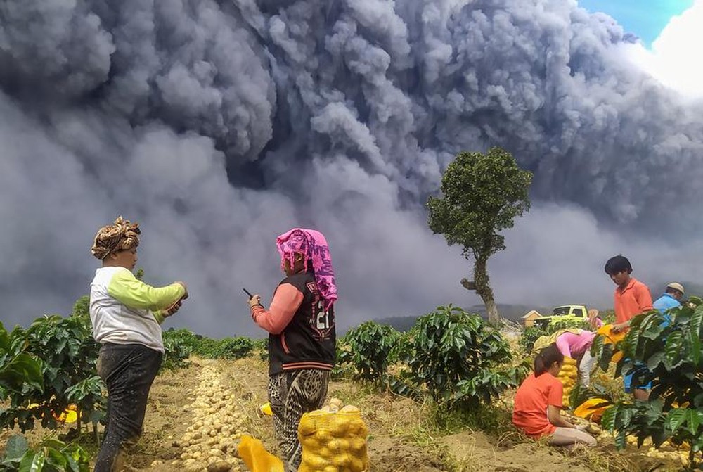 24h qua ảnh: Nông dân thu hoạch khoai tây gần núi lửa phun trào dữ dội - Ảnh 2.