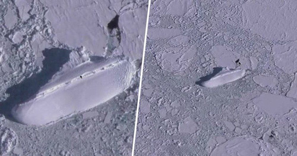 Đồn đoán kỳ lạ về con tàu băng bí ẩn ở ngoài khơi Nam Cực - Ảnh 1.