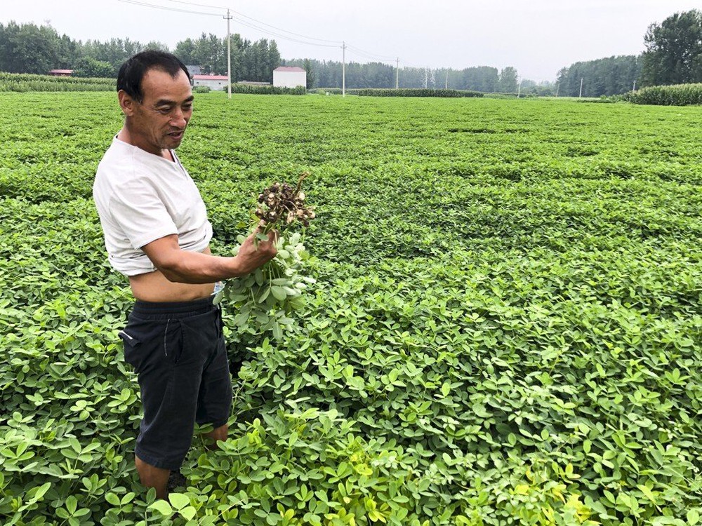 Trời xoay đất chuyển: Những dấu hiệu chứng tỏ nỗi lo sợ lớn nhất của TQ đang trở thành hiện thực - Ảnh 1.