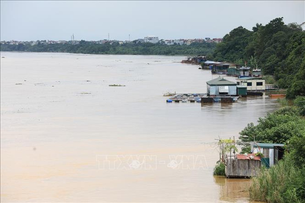 Mực nước sông Hồng ở Hà Nội lên nhanh, nguy cơ ngập lụt vùng trũng và bãi bồi - Ảnh 5.