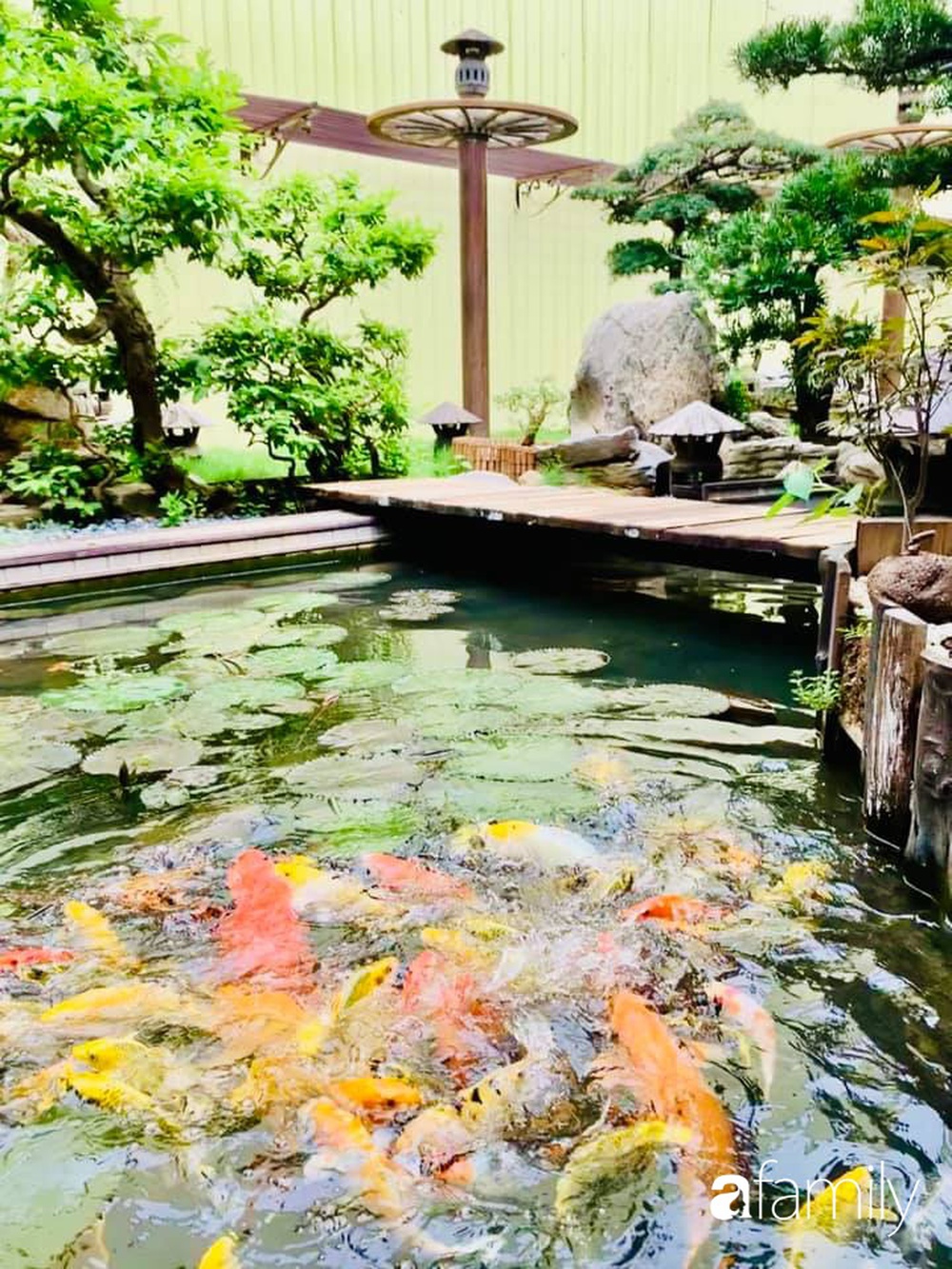 Chồng tự tay thiết kế nhà vườn kiểu Nhật tặng vợ để kỷ niệm 15 năm bên nhau với chi phí 290 triệu đồng ở Hà Nội - Ảnh 27.