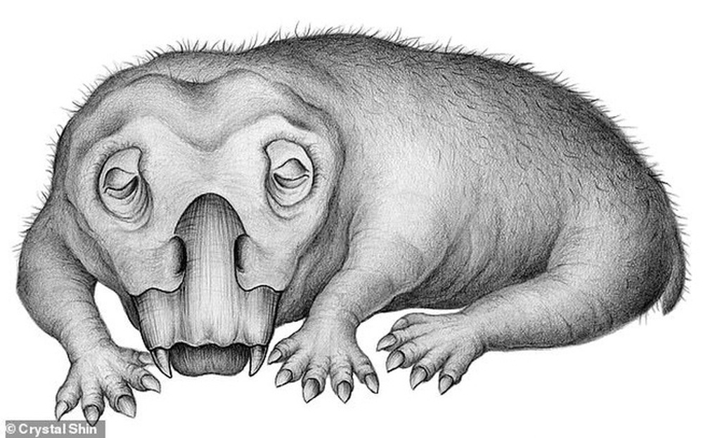 Heo lai khủng long khổng lồ thống trị Nam Cực 250 triệu năm trước - Ảnh 1.