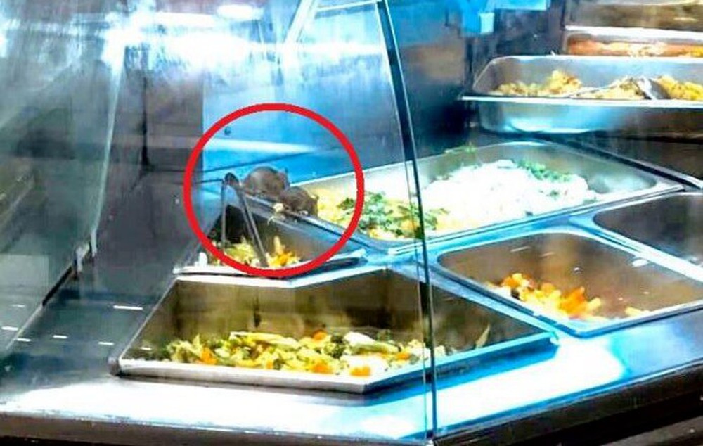 Chuột bò lúc nhúc trong quầy thức ăn tại Aeon Tân Phú TP Hồ Chí Minh - Ảnh 1.