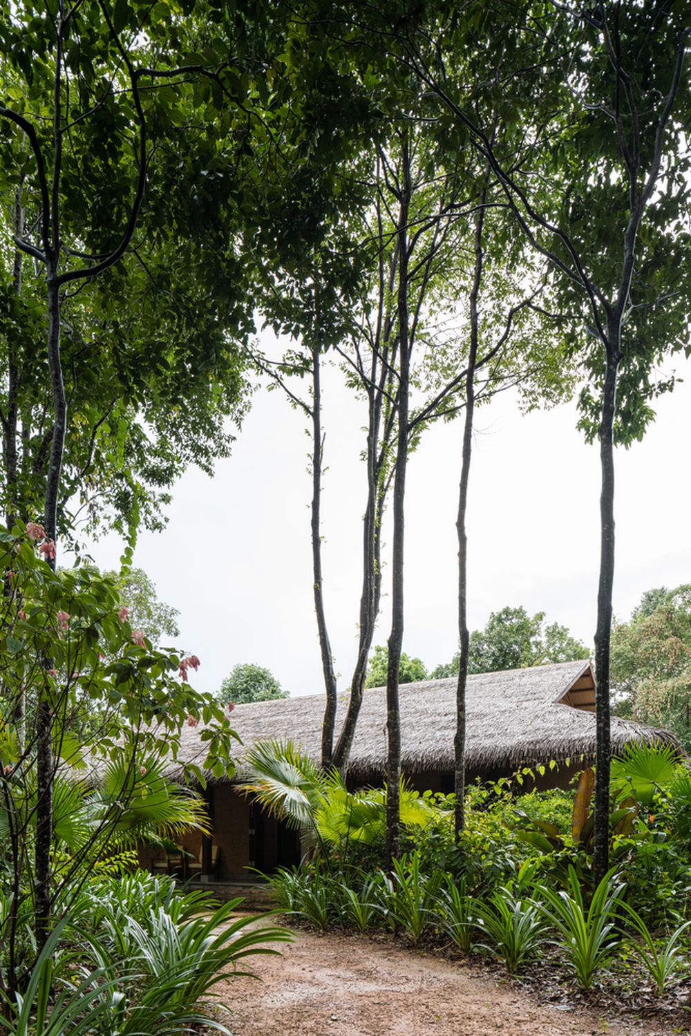 Phú Quốc: Spa giữa rừng rậm được báo Mỹ khen ngợi hết lời - Ảnh 13.
