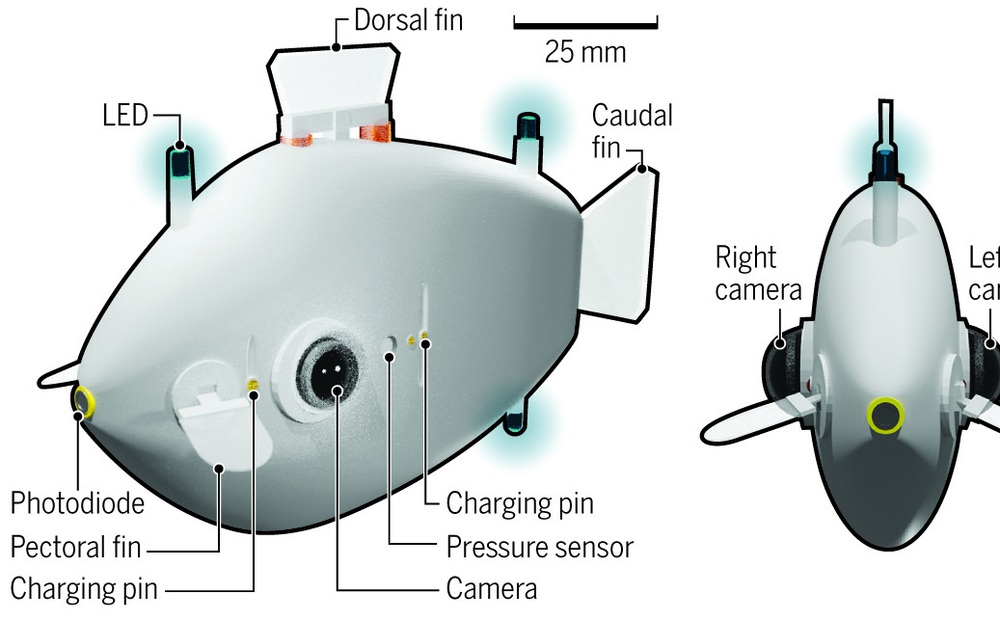 Cá robot - Phương tiện mới cho hoạt động cứu hộ trên biển