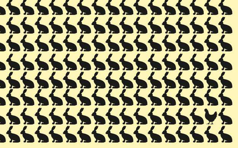 Thách thức thị giác 5 giây: Đố bạn tìm ra con gà đen trong đàn thỏ đen!