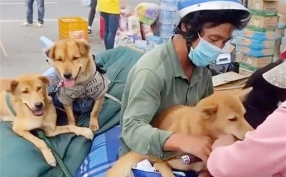 Vụ tiêu hủy 15 con chó vì nghi ngờ mang virus lây bệnh COVID-19, chuyên gia y tế nói: "Quá nhẫn tâm!"