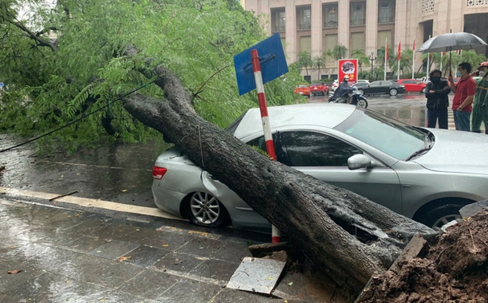 Hà Nội: Bão số 7 gây mưa lớn cả ngày, nhiều cây xanh bật gốc, đè bẹp "xế hộp" Camry