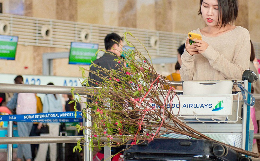 Đề xuất nghỉ Tết Nguyên đán Nhâm Dần 9 ngày