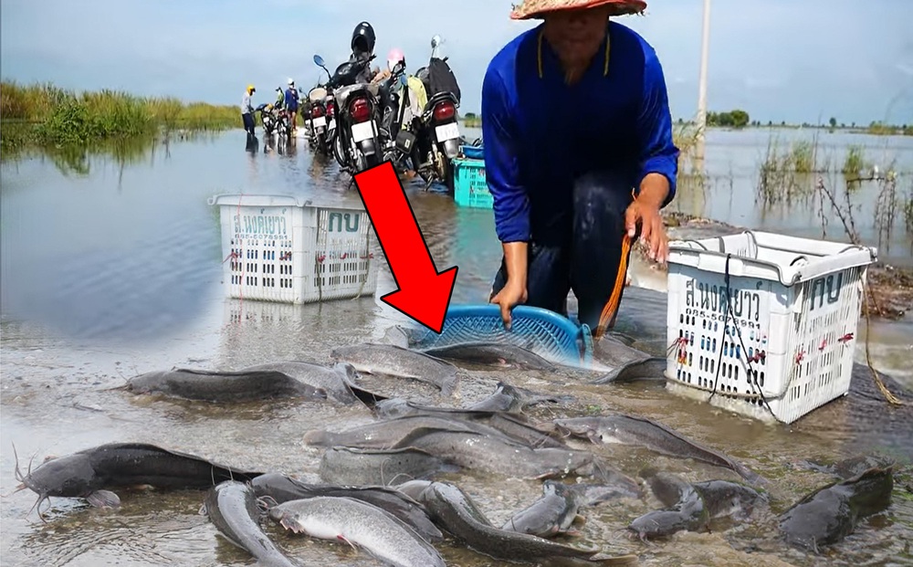Đi tới con đường gần bờ sông vào mùa lũ, cả nhóm người hớt hải tụt xuống xe khi thấy điều này
